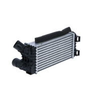 Ladeluftkühler 300 mm - 155 mm NRF passend für u.a. FORD C-MAX