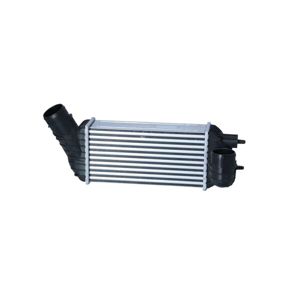 Ladeluftkühler 300 mm - 147 mm NRF passend für u.a. PEUGEOT 5008