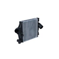 Ladeluftkühler 290 mm - 272 mm NRF für u.a. MERCEDES-BENZ VITO