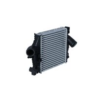Ladeluftkühler 290 mm - 280 mm NRF für u.a. MERCEDES-BENZ VITO