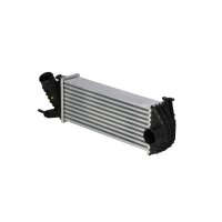 Intercooler 385 mm - 143 mm NRF suitable for e.g. RENAULT...
