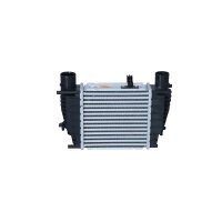 Intercooler 210 mm - 202 mm NRF suitable for e.g. RENAULT MODUS