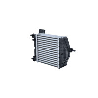 Intercooler 270 mm - 204 mm NRF suitable for e.g. LANCIA MUSA