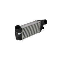 Ladeluftkühler 300 mm - 127 mm NRF passend für u.a. CITROËN XSARA