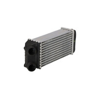 Ladeluftkühler 300 mm - 157 mm NRF passend für u.a. PEUGEOT 206