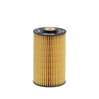 Fuel filter filter insert HENGST for AUWÄRTER...