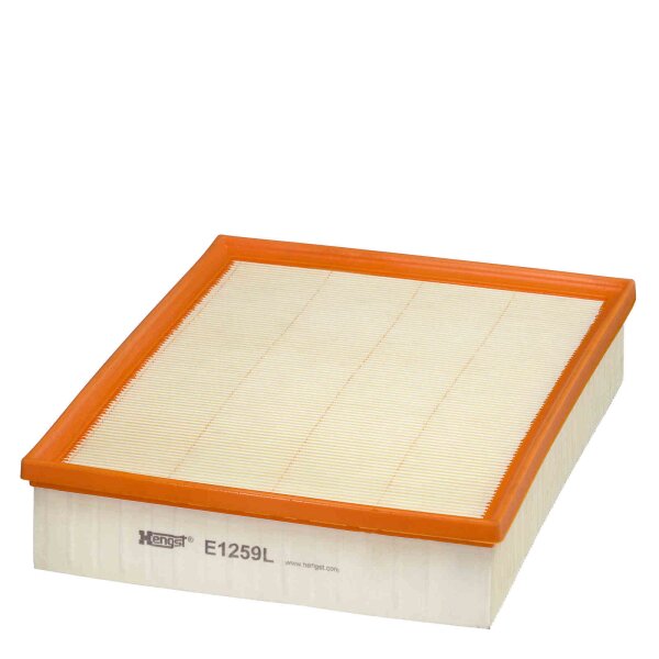 Air filter cartridge HENGST for DODGE NITRO