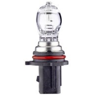 Bulb Indicator lamp 12 V 13 W P13W PG18.5d-1 crystal...