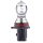 Gluehlampe, Blinkleuchte HELLA 8GA 223 569-041