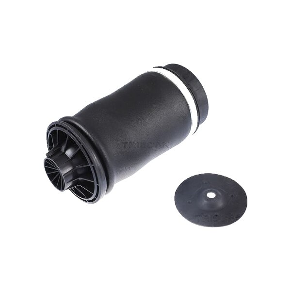 Air Spring Suspension TRISCAN IAM-Expertise suitable for e.g. MB M-CLASS