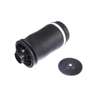 Air Spring Suspension TRISCAN IAM-Expertise suitable for...