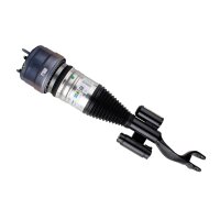 Air suspension strut front axle right gas lower fork...