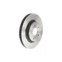 2 Bremsscheiben innenbelüftet Ø 294 mm 25 mm...