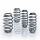 Suspension kit springs with certificate EIBACH for RENAULT CLIO IV and others
