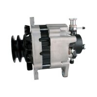 Generator mit Doppelriemenscheibe 86mm HELLA für...