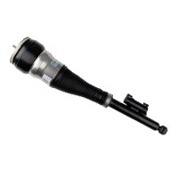 Air suspension strut rear axle right gas lower eye...