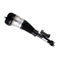 Air suspension strut front axle right gas lower fork...