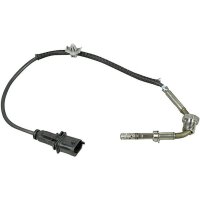 Exhaust gas temperature sensor before soot particle...