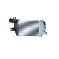 Intercooler 276 mm - 204 mm NRF suitable for e.g....