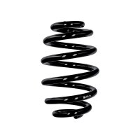 Suspension spring rear axle Ø 15.5 mm 250 mm...