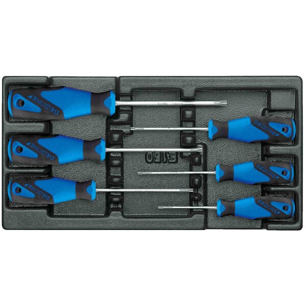 Schraubendreher-Satz in 1/3 ES-Modul GEDORE 1500 ES-2163 TX