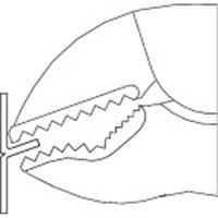 Vise-grip Pliers 45 mm chrome-plated steel 260 mm GEDORE Tool Expertise