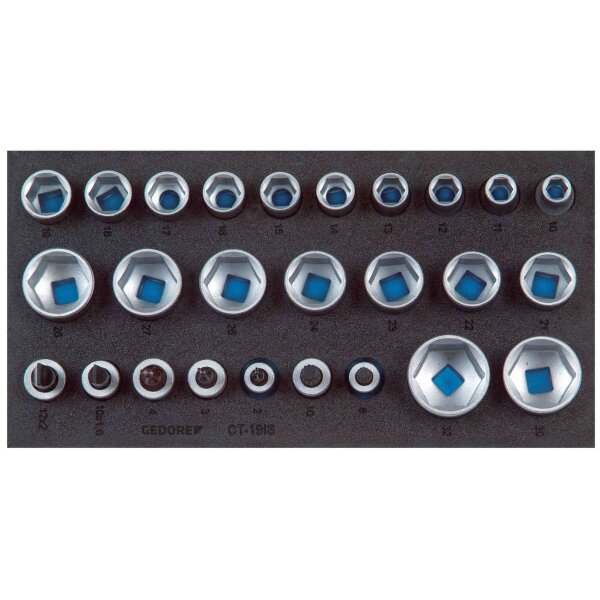Satz Steckschlüsseleinsätze 1/2 in Check-Tool-Modul GEDORE 1500 CT1-19 IS