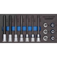 Satz Schraubendrehereinsätze 1/2 in Check-Tool-Modul...