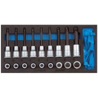 Satz Schraubendrehereinsätze 1/2 in Check-Tool-Modul...