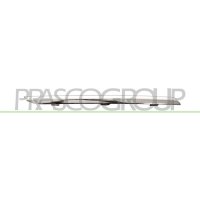 Decorative/protective strip radiator grille PRASCO for...