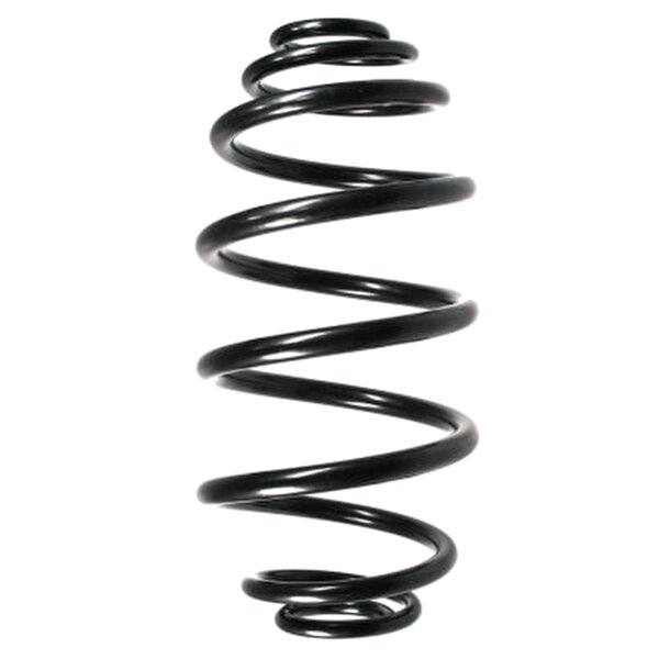 SPIDAN 49783 Fahrwerksfeder hinten
