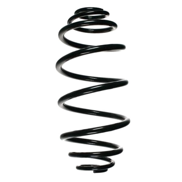 SPIDAN 85332 Fahrwerksfeder hinten