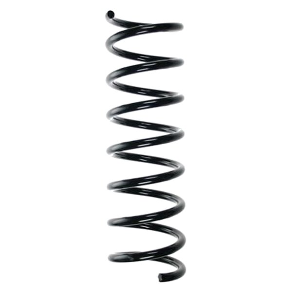 SPIDAN 55355 Fahrwerksfeder hinten