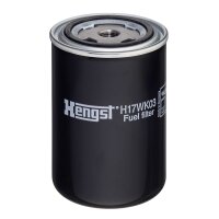 Kraftstofffilter Anschraubfilter HENGST für DAF...