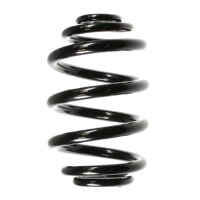 Rear suspension spring coil spring 238mm SPIDAN for BMW 3...