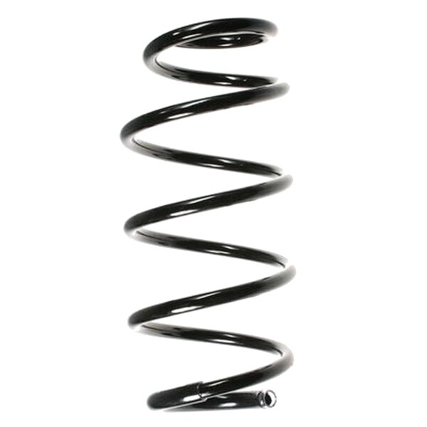 SPIDAN 55967 Fahrwerksfeder vorne