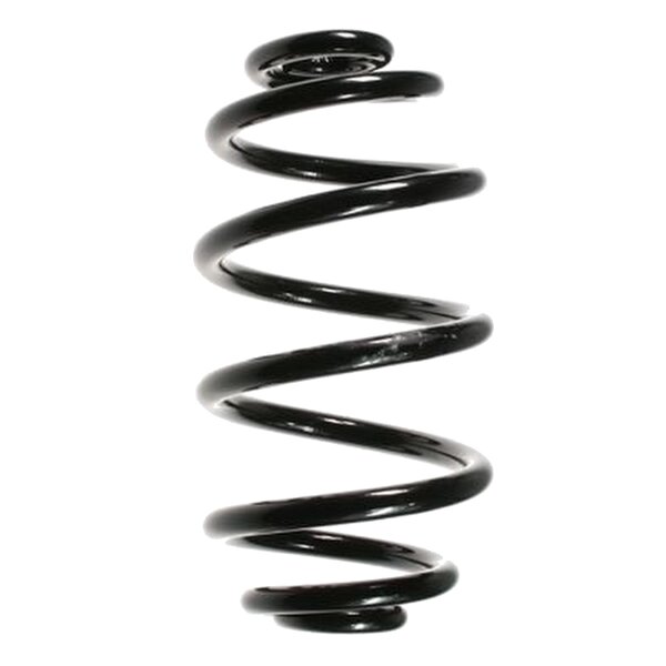 SPIDAN 56658 Fahrwerksfeder hinten