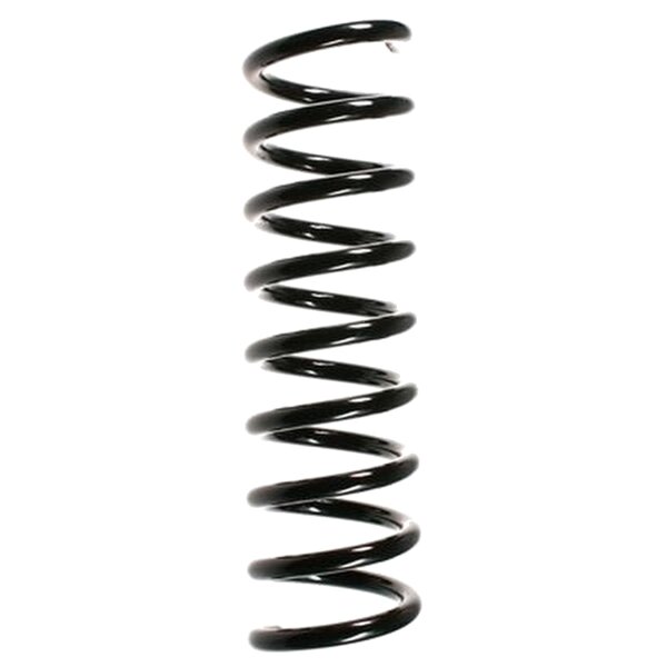 SPIDAN 55737 Fahrwerksfeder vorne