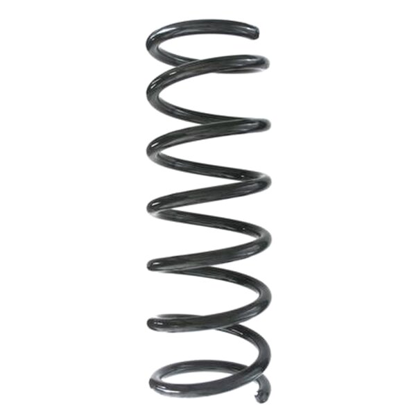 SPIDAN 87560 Fahrwerksfeder hinten