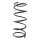 Suspension Spring Rear Axle Coil spring with constant wire diameter SPIDAN for MITSUBISHI Pajero Sport I