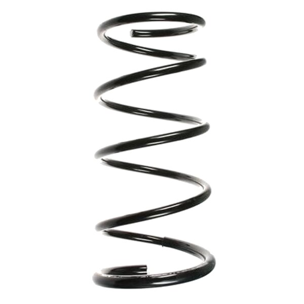 SPIDAN 55876 Fahrwerksfeder vorne