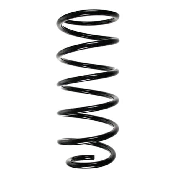 SPIDAN 85502 Fahrwerksfeder hinten