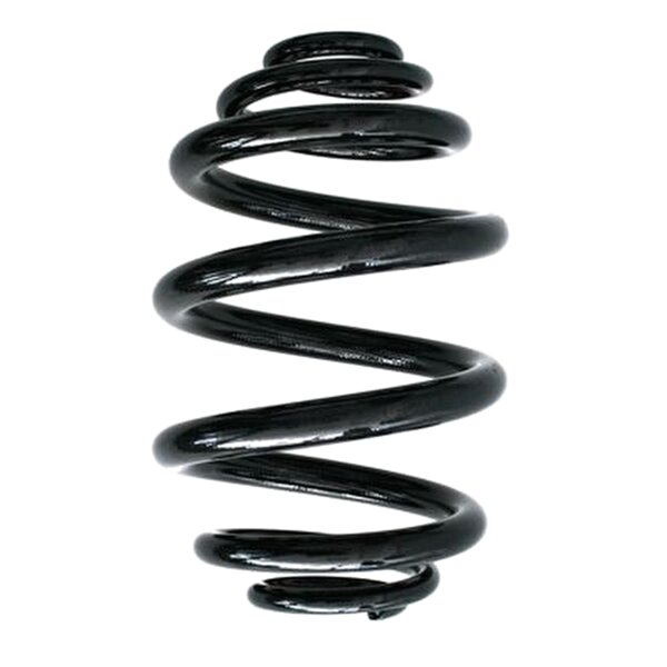 Suspension Spring Rear Axle Mini Block SPIDAN for BMW 3er...