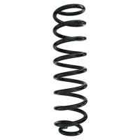 Fahrwerksfeder Vorderachse Schraubenfeder Ø118mm...