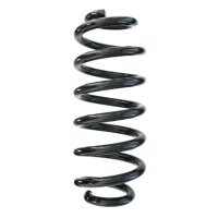 Suspension spring rear axle coil spring Ø118mm SPIDAN for e.g. VW Passat