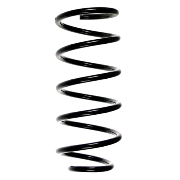 SPIDAN 48595 Fahrwerksfeder hinten