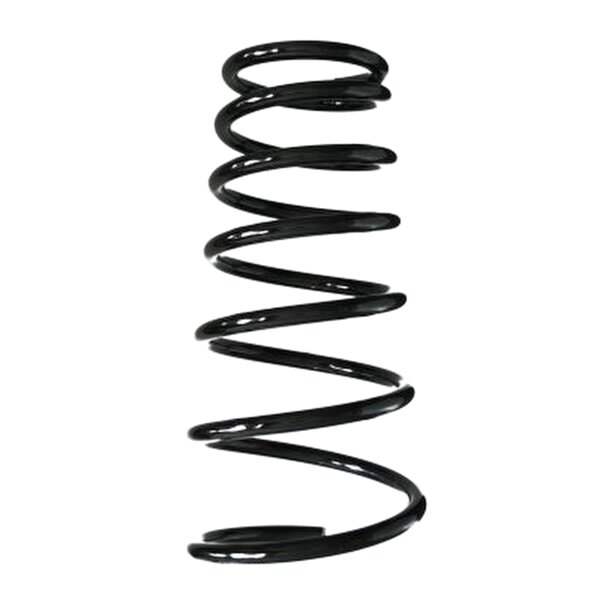 SPIDAN 55538 Fahrwerksfeder hinten