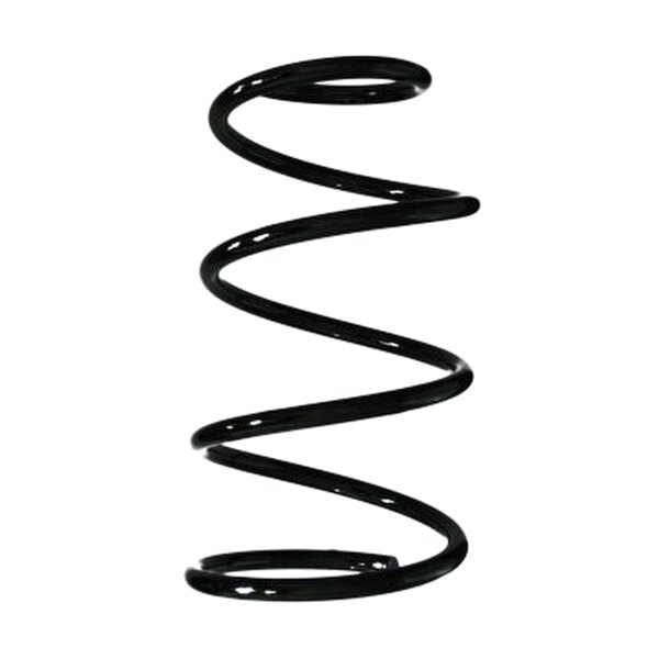 SPIDAN 55617 Fahrwerksfeder hinten