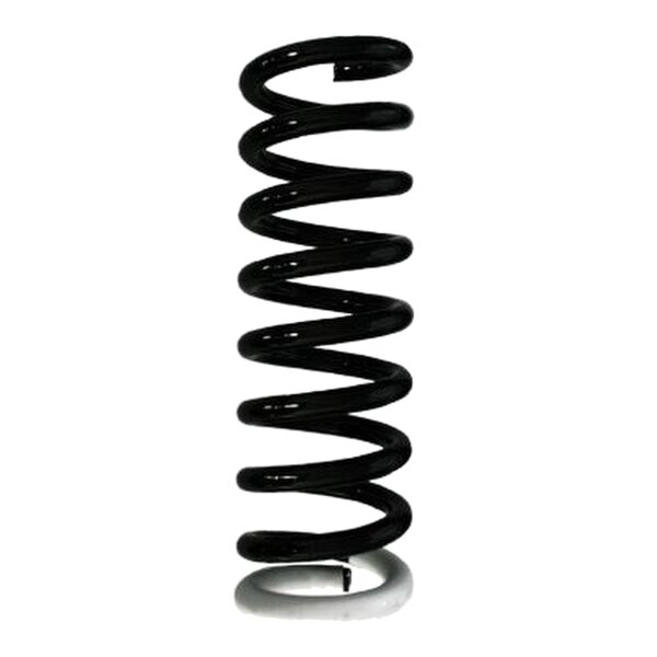 Suspension spring front axle coil spring Ø113mm SPIDAN for e.g. NISSAN NP300