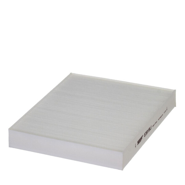 Pollenfilter Innenraum 258-223mm 36mm HENGST FILTER für u.a. VW POLO V